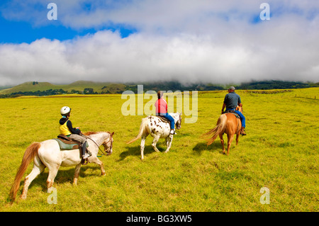 Reiten auf der Parker Ranch, The Big Island, Hawaii, Vereinigte Staaten von Amerika, Nordamerika Stockfoto