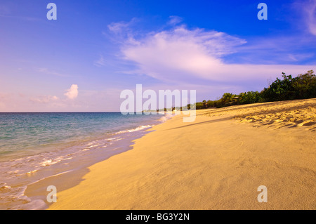 Long Beach (Baie Longue), St. Martin (St. Maarten), Niederländische Antillen, West Indies, Karibik, Mittelamerika Stockfoto