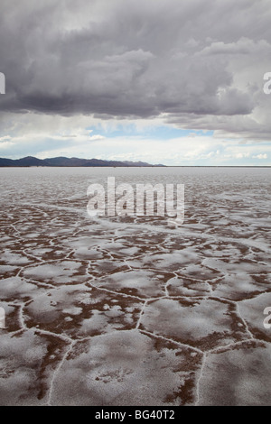 Argentinien, Provinz Jujuy, Salinas Grande Salzpfanne, Höhe 3350 Meter, 525 sq kms Stockfoto