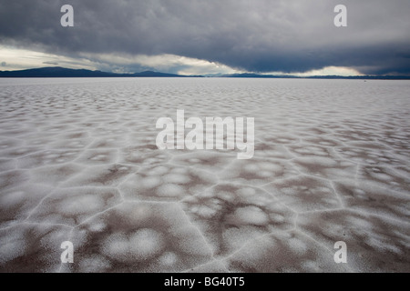 Argentinien, Provinz Jujuy, Salinas Grande Salzpfanne, Höhe 3350 Meter, 525 sq kms Stockfoto