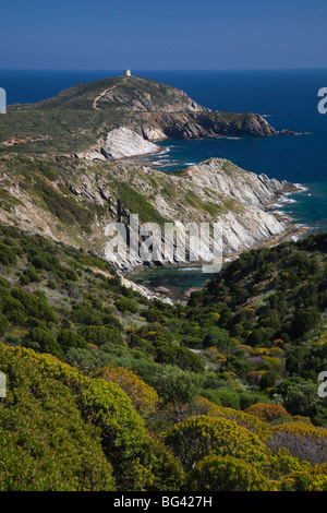 Italien, Sardinien, Süd-West Sardinien, Capo Malfatano Landschaft Stockfoto