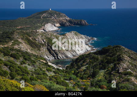 Italien, Sardinien, Süd-West Sardinien, Capo Malfatano Landschaft Stockfoto