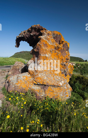 Italien, Sardinien, North West Sardinien, Castelsardo, Roccia Dell' Elefante rock Stockfoto