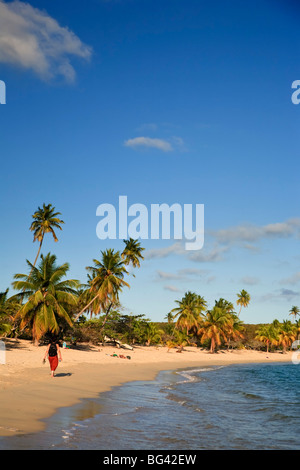 Puerto Rico, Vieques Island, Sun Bay Beach Stockfoto