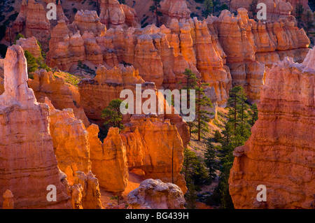 USA, Utah, Bryce-Canyon-Nationalpark, in der Nähe von Sunset Point Stockfoto