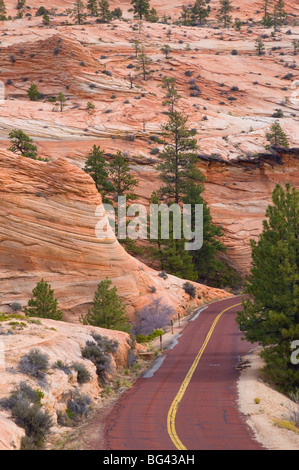 USA, Utah, Zion Nationalpark Stockfoto