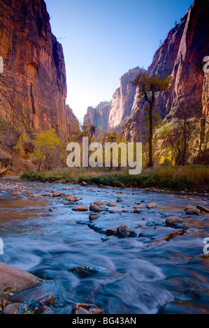 USA, Utah, Zion National Park, der Narrows North Fork Virgin River Stockfoto