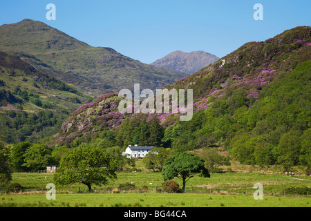 Wales, Gwynedd, Snowdonia National Park, Blick auf Mount Snowdon von Beddgelert Stockfoto