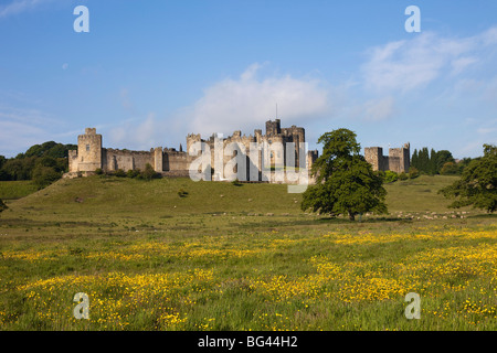 England, Northumberland, Alnwick Castle Stockfoto