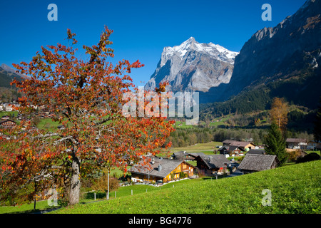 Traditionelle Häuser, Wetterhorn & Grindelwald, Berner Oberland, Schweiz Stockfoto