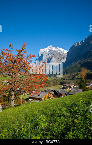 Traditionelle Häuser, Wetterhorn & Grindelwald, Berner Oberland, Schweiz Stockfoto