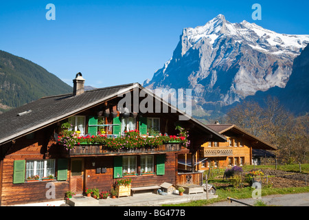 Traditionelle Häuser, Wetterhorn & Grindelwald, Berner Oberland, Schweiz Stockfoto