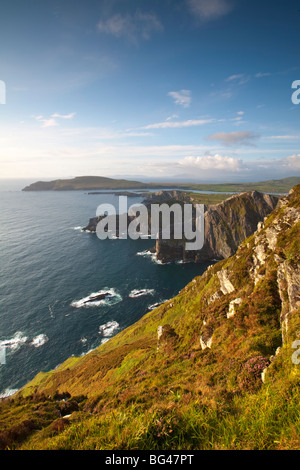 Steilküste in der Nähe von Valentia Island, Co Kerry, Irland Stockfoto