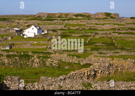 Dun Conor Burg, Inishmaan, Aran-Inseln, Co. Galway, Irland Stockfoto