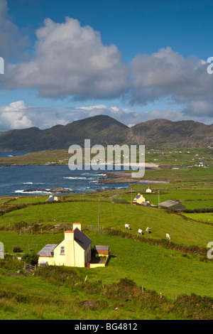 Beara Halbinsel, Co. Cork & Co. Kerry, Irland Stockfoto