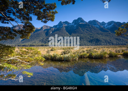 Spiegel, Pools, Fjordland-Nationalpark, Südinsel, Neuseeland Stockfoto