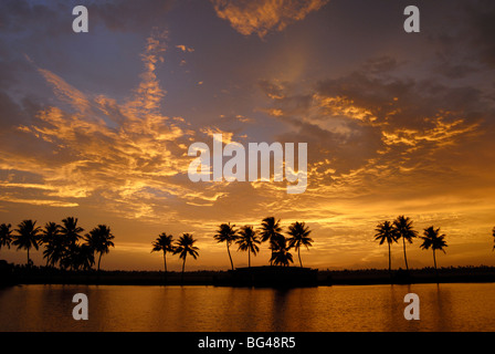 Sonnenuntergang über den "Backwaters" von Alleppey, Kerala, Indien, Asien Stockfoto