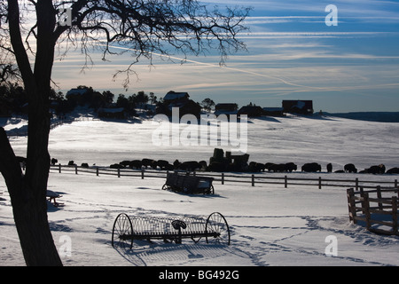 USA, Utah, Mt. Carmel Junction, Buffalo Ranch, winter Stockfoto