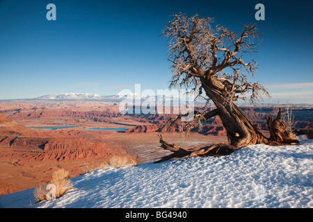 USA, Utah, Moab, Dead Horse Point State Park, Blick auf den Canyon Mäander, winter Stockfoto