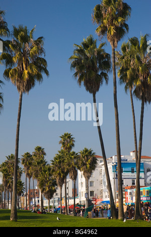 USA, California, Los Angeles, Venedig, Venice Boardwalk Stockfoto