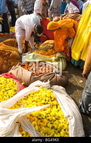 Frau kaufen Ringelblumen in Stoff gebunden und Plünderung, Blume Markt, Bari Chaupar, Jaipur, Rajasthan, Indien, Asien Stockfoto