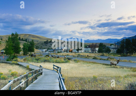 Mammoth Hot Springs Village und Resort, Yellowstone-Nationalpark, Wyoming, USA Stockfoto