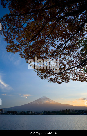 Kawaguchi, Japan, Honshu Insel Ko See, Mt. Fuji und Ahornbäume Stockfoto