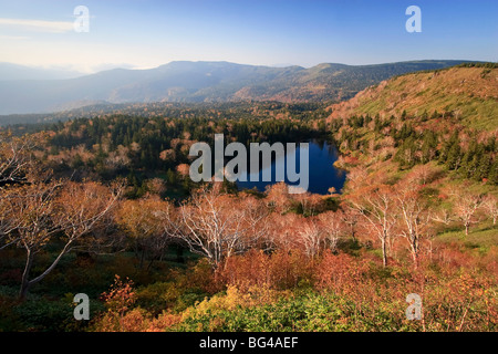 Japan, Insel Honshu, Towada Hachimantai National Park, Hachimanuma Teich Stockfoto