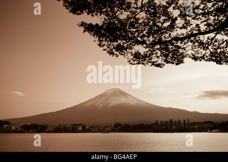 Kawaguchi, Japan, Honshu Insel Ko See, Mt. Fuji und Ahornbäume Stockfoto