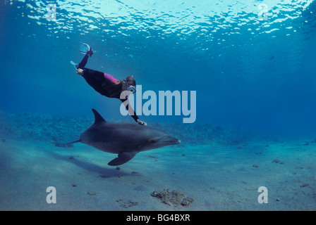 Schnorchler Interaktion mit wilden Tümmler (Tursiops Truncatus), Nuweiba, Ägypten - Rotes Meer. Stockfoto