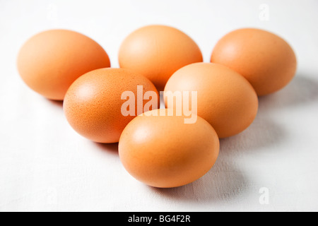 Sechs Bio-Hühner-Eiern auf weißem Hintergrund Stockfoto