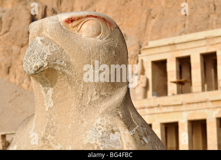 Nahaufnahme von Falcon (Horus) Statue an der Leichenhalle Tempel der Königin Hatshepsut in Deir el Bahri in der Nähe von Luxor, Ägypten Stockfoto