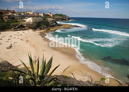 Strand bei Tamarama, zwischen Bondi und Bronte in die östlichen Vororte, Tamarama, Sydney, New South Wales, Australien Stockfoto
