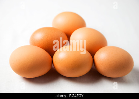 Sechs Bio-Hühner-Eiern auf weißem Hintergrund Stockfoto
