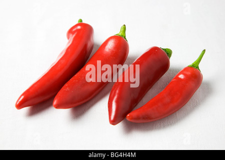 Red Chili Peppers auf weißem Hintergrund Stockfoto