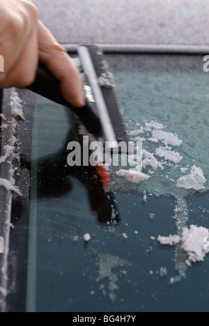 Reinigung von Auto Windschutzscheibe Frost am Morgen Stockfoto