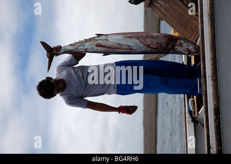 Fischer in der Galapagos-Inseln von Ecuador. Eines der gefährlichsten Bedrohungen für das Ökosystem des Meeres-Reservat. Stockfoto