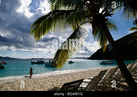 Soggy Dollar Bar White Bay Jost Van Dyke British Virgin Islands | JOST VAN DYKE, British Virgin Islands — Eine einsame Palme umrahmt verankerte Boote und ein Bademantel, der an Land in White Bay watet, der geschützten Bucht, wo Seeleute gewöhnlich den letzten Abschnitt zu den Strandbars an Land schwimmen. Entfernte Inseln, die am Horizont sichtbar sind, sind Teil desselben Vulkanbogens, der St. John und St. Thomas über den Pillsbury Sound umfasst. Stockfoto