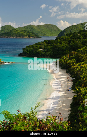 ST. JOHN, U.S. Virgin Islands – Trunk Bay, ein atemberaubender Strand im Virgin Islands National Park. Trunk Bay ist bekannt für seinen unberührten weißen Sand, das kristallklare türkisfarbene Wasser und den Unterwasser-Schnorchelpfad und ein beliebtes Ziel für Touristen und Naturliebhaber. Das üppige Grün der Umgebung und die Korallenriffe verstärken die natürliche Schönheit der Bucht. Stockfoto