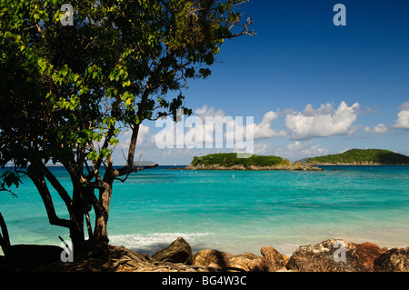 CINNAMON BAY, US Virgin Islands – Ein malerischer Blick auf die Cinnamon Bay, einen unberührten tropischen Strand an der Nordküste von St. John auf den US Virgin Islands. Der halbmondförmige Strand mit seinem weißen Sand und türkisfarbenem Wasser ist von üppiger Vegetation umgeben, was die natürliche Schönheit der Karibik veranschaulicht. Stockfoto