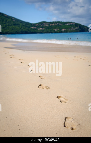 Cinnamon Bay Beach St. John US Virgin Islands | St. JOHN, U.S. Virgin Islands – Ein Fußspur führt den Sand der Cinnamon Bay hinunter zu Schwimmern in der Brandung, wobei die bewaldeten Hügel des Nordufers von St. John über die Bucht ragen. Cinnamon Bay liegt im Virgin Islands National Park, der 1956 gegründet wurde, um etwa drei Fünftel des Landes und der Küstengewässer der Insel zu schützen. Stockfoto