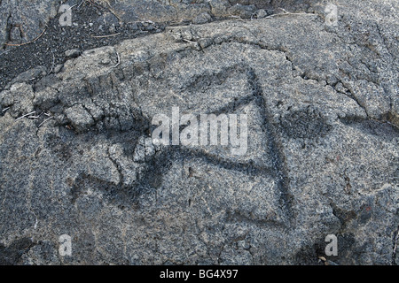 Petroglyph, Mauna Loa Petroglyph Trail Stockfoto