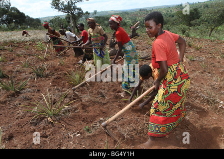 Während des Krieges in Burundi eine halbe million Menschen nach Tanzania.Now geflohen kehren sie zurück, dass Ands beim Wiederaufbau ihrer Häuser Stockfoto