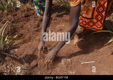 Während des Krieges in Burundi eine halbe million Menschen nach Tanzania.Now geflohen kehren sie zurück, dass Ands beim Wiederaufbau ihrer Häuser Stockfoto