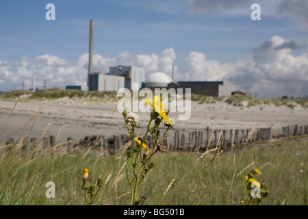 Nukleare Powerstation in Borssele, Niederlande Stockfoto