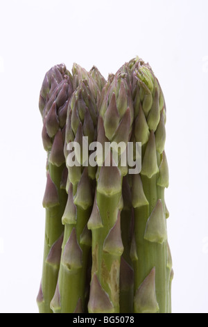 Spargelspitzen hautnah auf weißen Hintergrund isoliert. Stockfoto