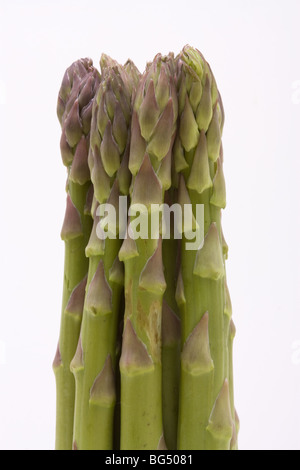 Spargelspitzen hautnah auf weißen Hintergrund isoliert. Stockfoto