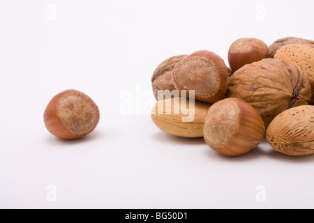 Festliche Nussmischung Haselnüsse, Walnüsse und Mandeln isoliert vor weißem Hintergrund mit ausgeschlossenen Haselnuss. Stockfoto