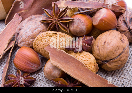 Festliche Nussmischung mit Winter Gewürzen Sternanis und Zimt. Stockfoto