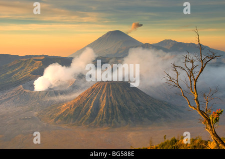 Bromo Tengger Semeru Nationalpark, Java, Indonesien Stockfoto